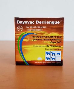 BAYOVAC DERRIENGUE