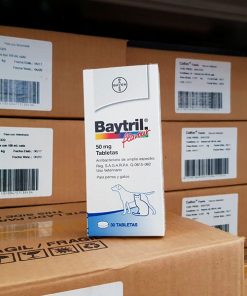 BAYTRIL FLAVOUR