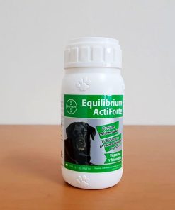 EQUILIBRIUM ACTIFORTE