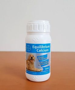 EQUILIBRIUM CALCIUM