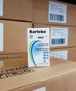 KORTEBA L.A.